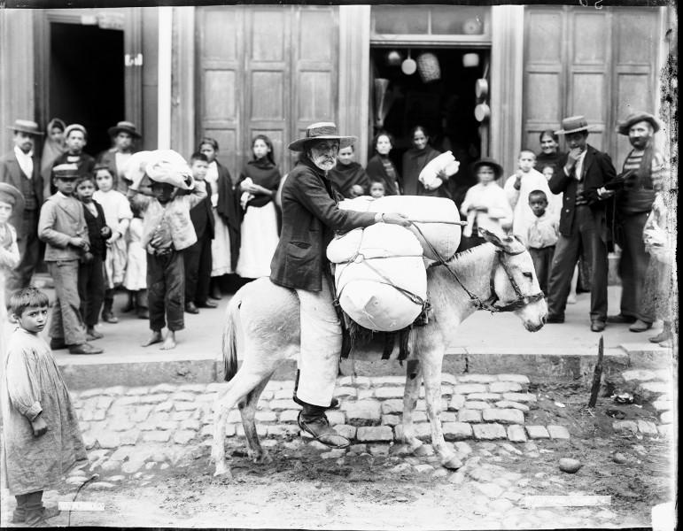 Harry Olds, Burrero Harry Olds, Burrero