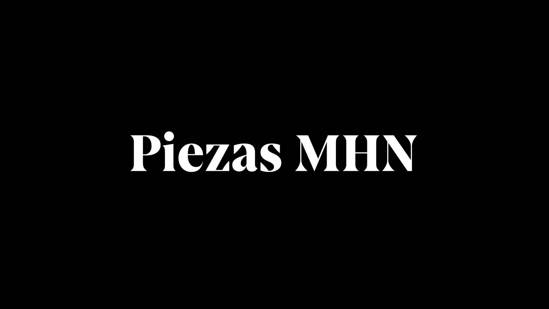 Piezas MHN