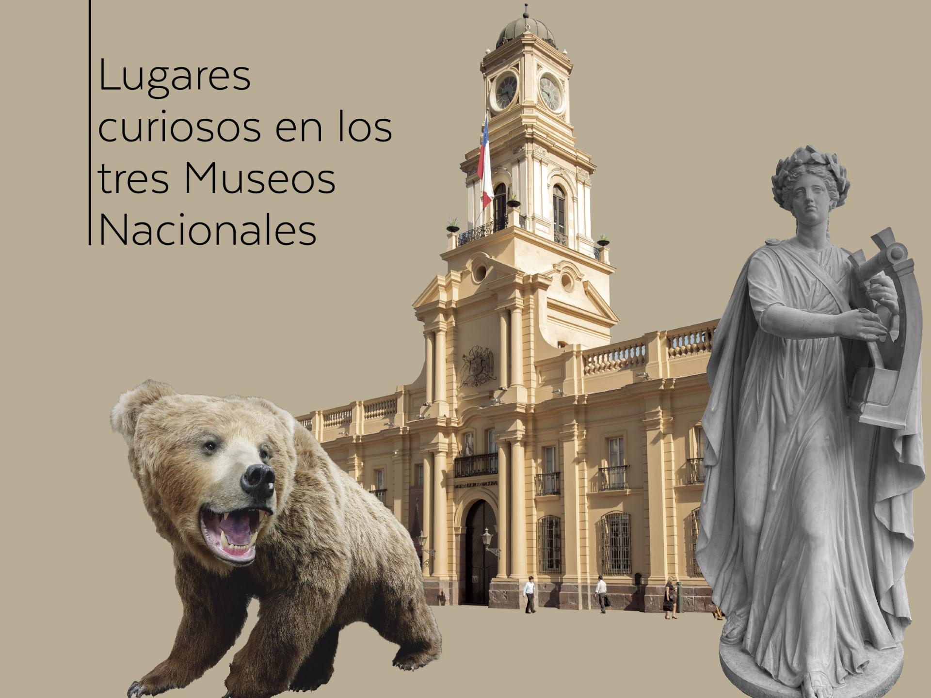 gráfica