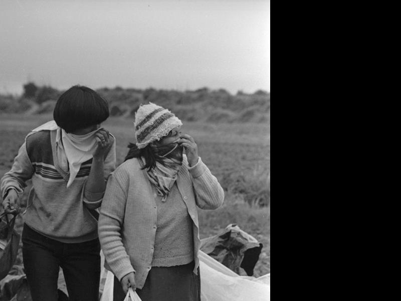 Mujeres en una toma de terreno