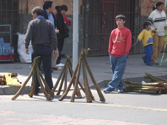 Madera de Nalca