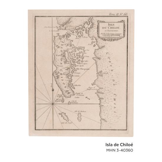 10.	Isla de Chiloé. Surdoc N°3-40360