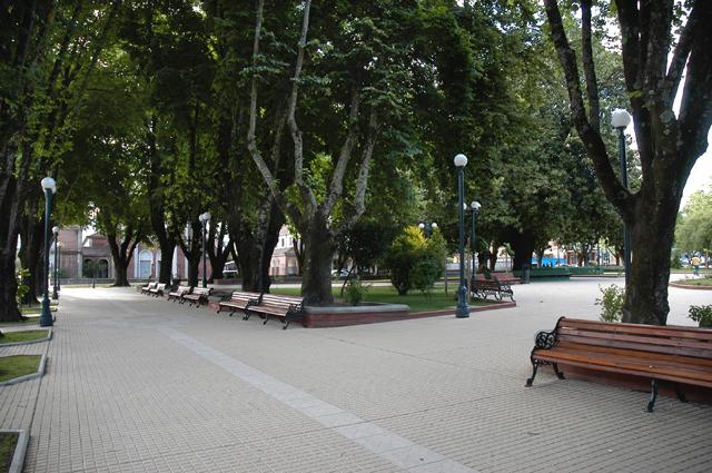 Plaza de Armas  siete fundaciones de Angol, rodeada de Tilos.