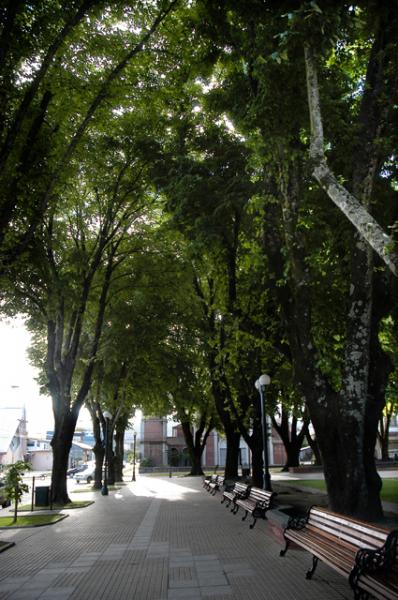 Plaza de Armas Siete fundaciones de Angol.
