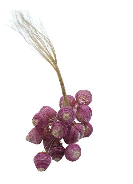 Ramo de flores, Rari