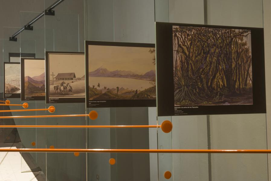 Montaje Exposición Temporal &quot;Sinopsis, sentidos de nación