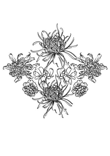 Alumna Amanda_Bórquez. Patrón Bata tipo Kimono